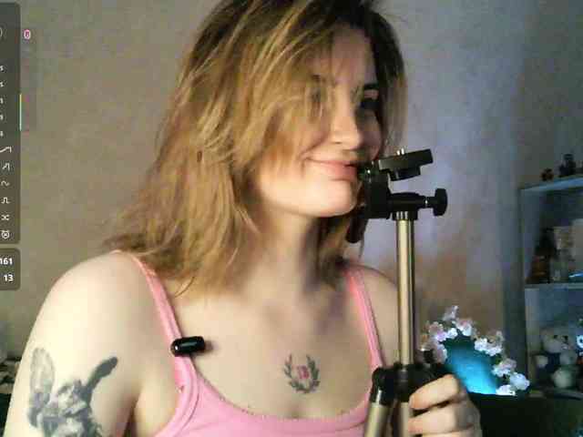 pollymorph webcam