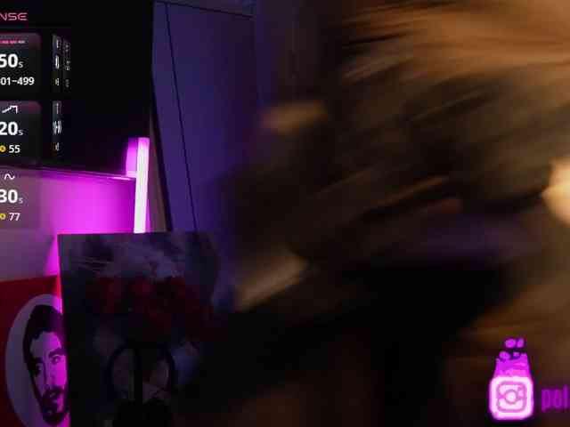 pollymorph webcam
