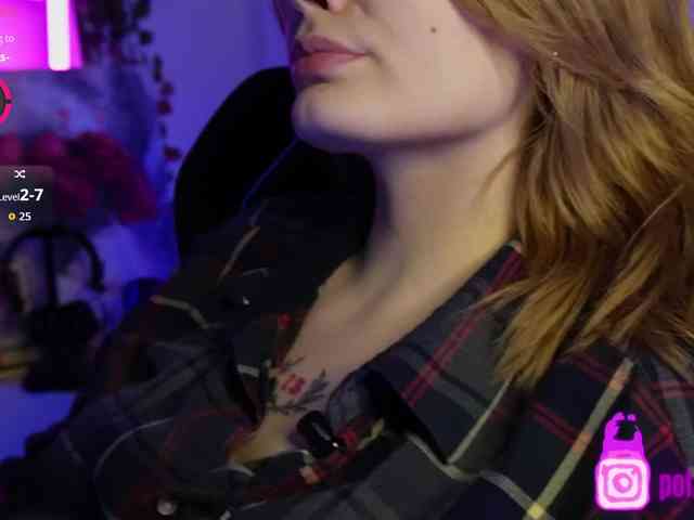 pollymorph webcam