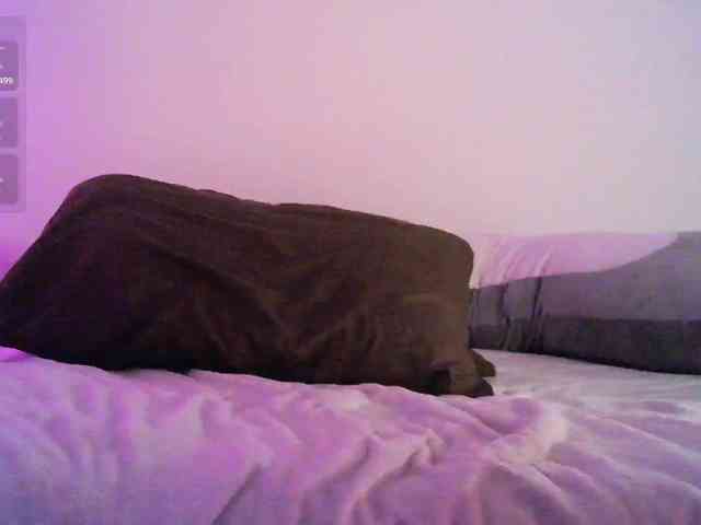 lxc999 Sex Cam Show