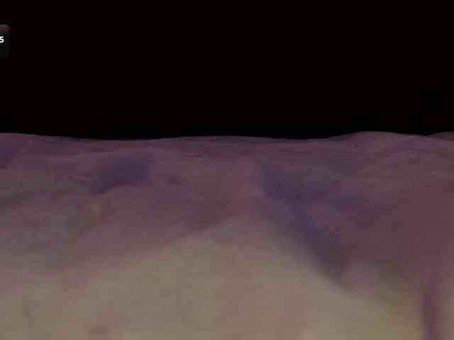 pollymorph webcam