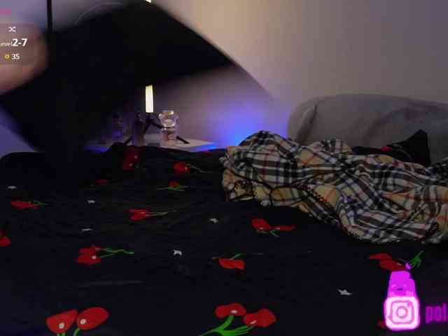 pollymorph webcam