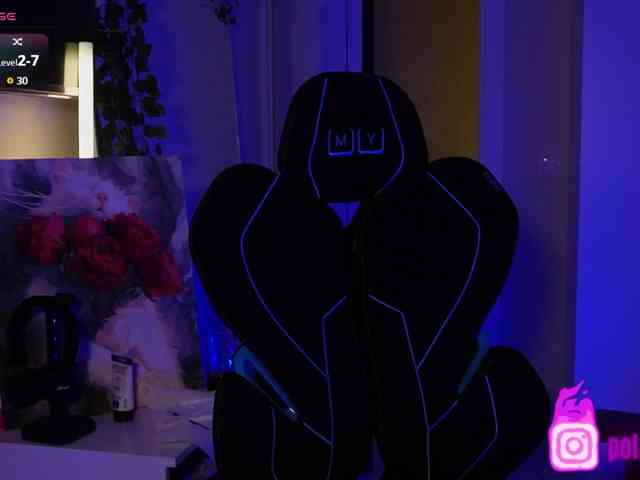 pollymorph webcam