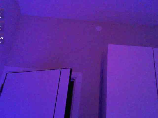 pollymorph webcam