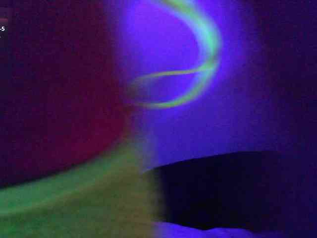 pollymorph webcam
