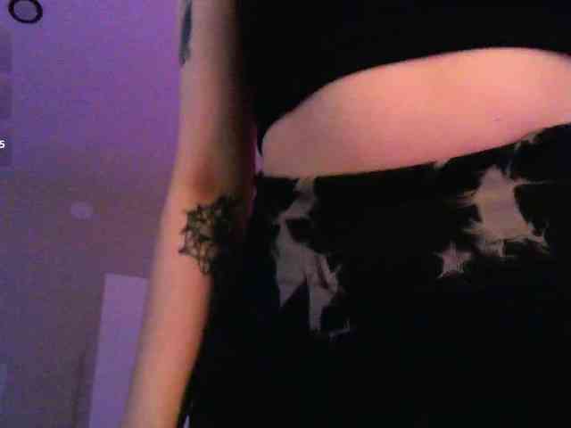 pollymorph webcam