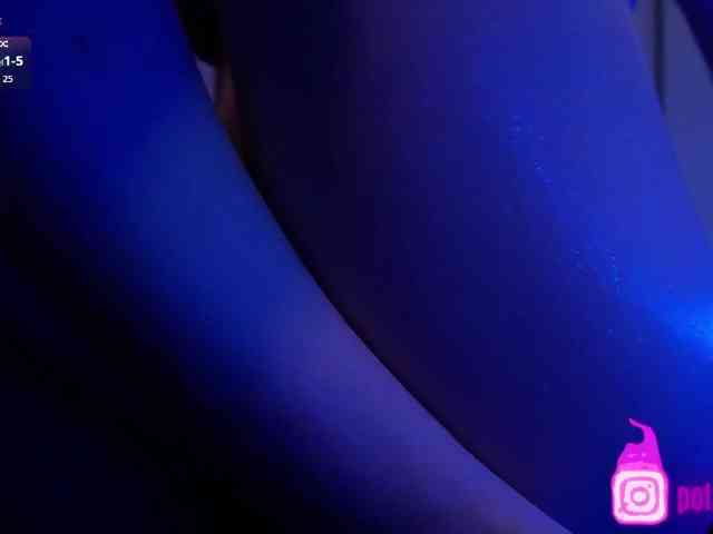 pollymorph webcam