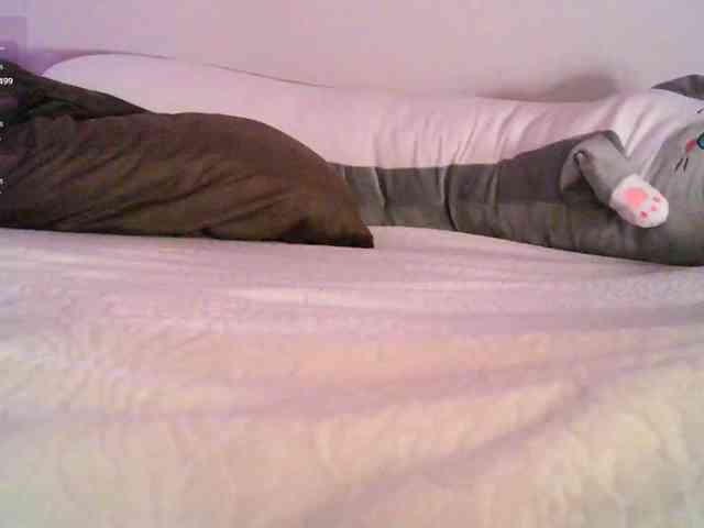 pollymorph webcam