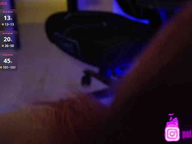 pollymorph webcam