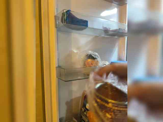 pollymorph webcam