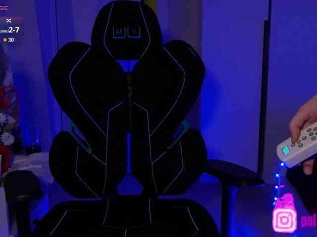 pollymorph webcam