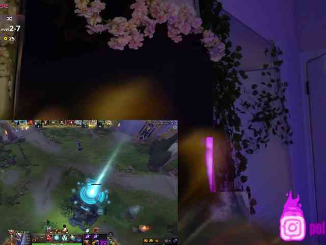 pollymorph webcam
