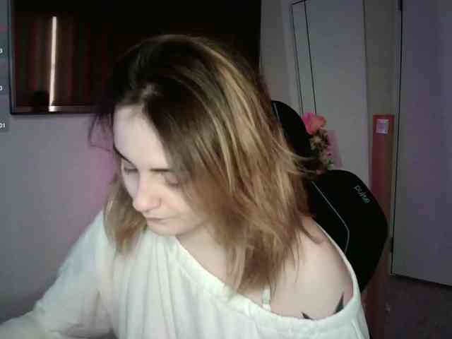 pollymorph webcam