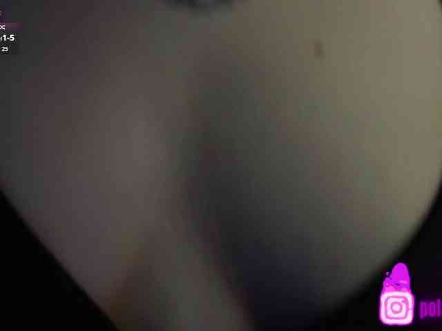 pollymorph webcam