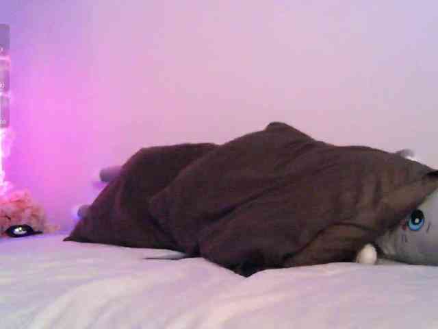 pollymorph webcam