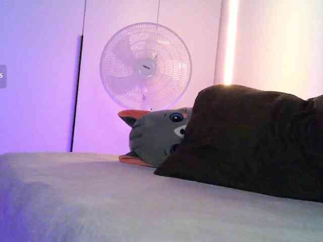 pollymorph webcam