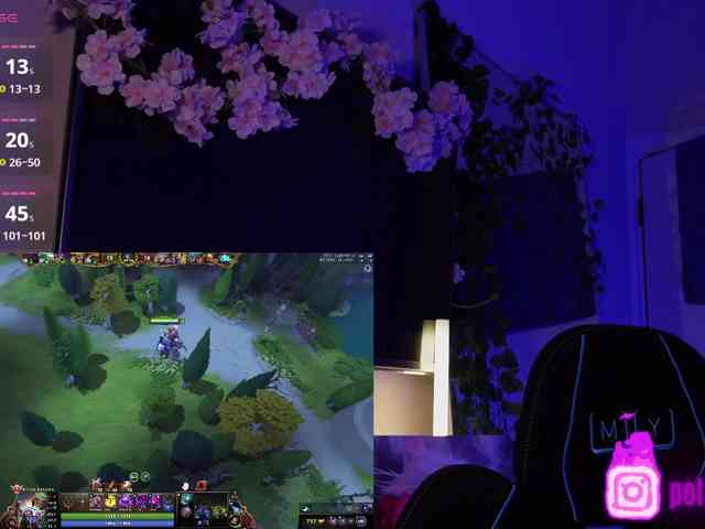 pollymorph webcam