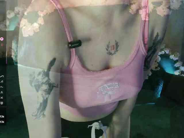 pollymorph webcam