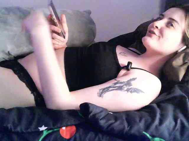 pollymorph webcam