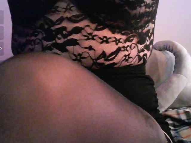 pollymorph webcam