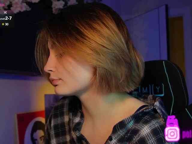 pollymorph webcam
