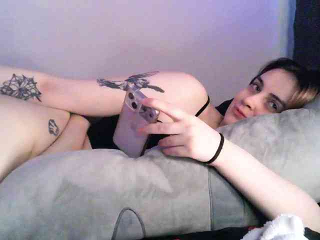 pollymorph webcam