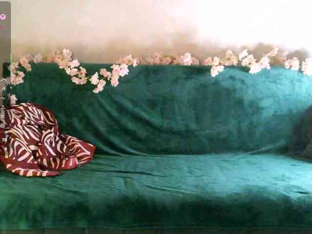 pollymorph webcam
