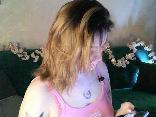 pollymorph webcam
