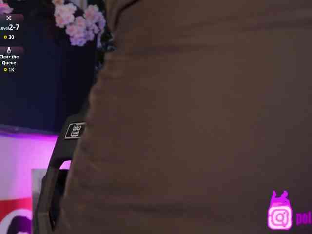 pollymorph webcam