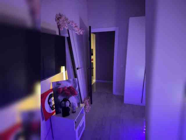 pollymorph webcam