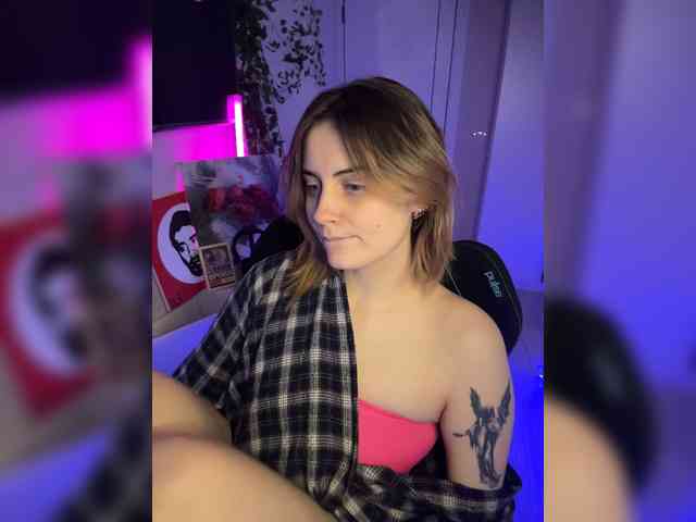 pollymorph webcam