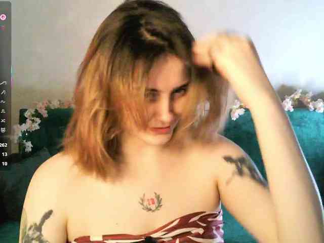 pollymorph webcam