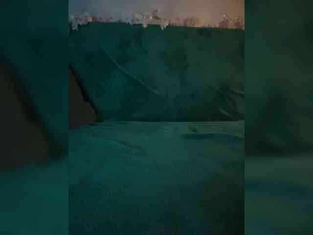 pollymorph webcam