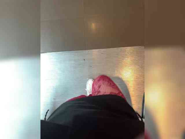 pollymorph webcam