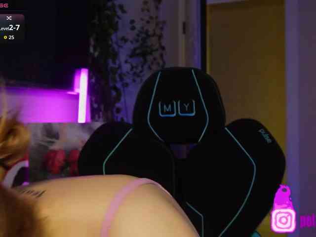 pollymorph webcam