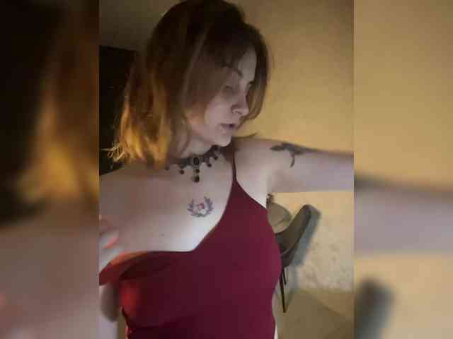pollymorph webcam