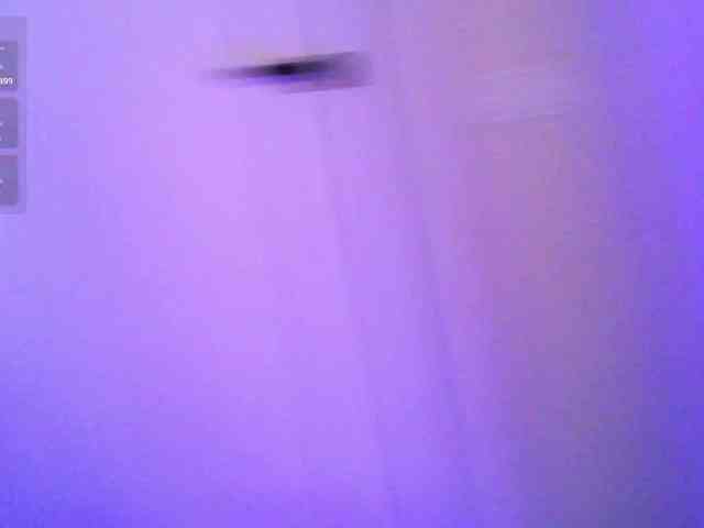 pollymorph webcam
