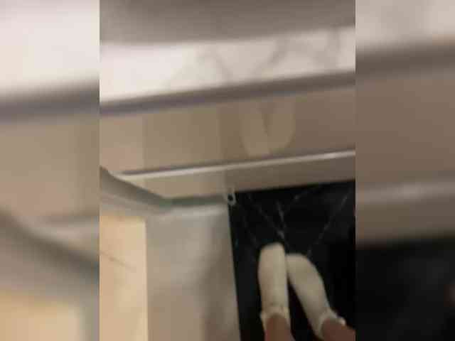 pollymorph webcam