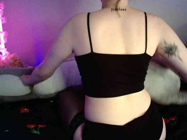 pollymorph webcam