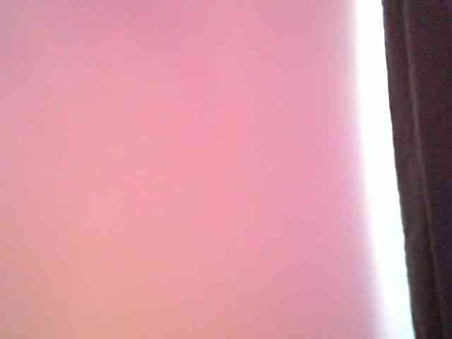 pollymorph webcam