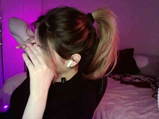 pollymorph webcam
