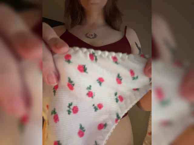 pollymorph webcam