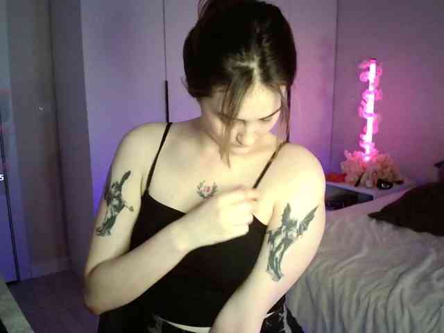 pollymorph webcam