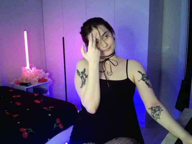 pollymorph webcam