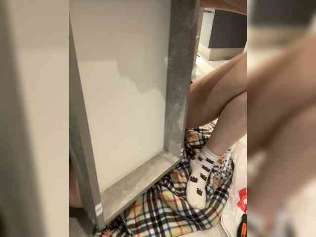 pollymorph webcam