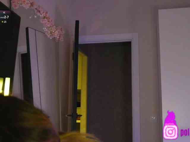 pollymorph webcam