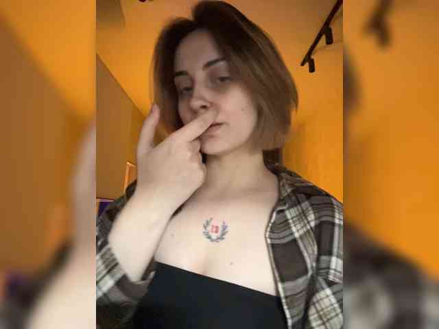 pollymorph webcam