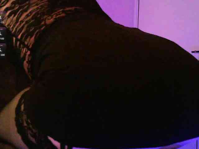 pollymorph webcam