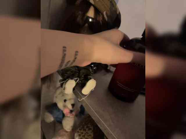 pollymorph webcam