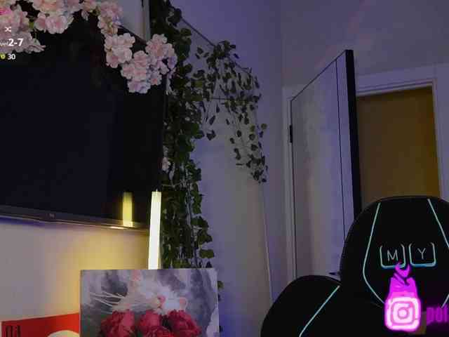 pollymorph webcam